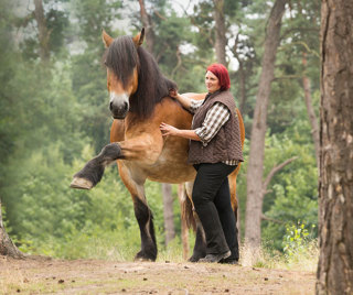 Sylvia Czarnecki – Motionclick: "A mistake is just information …" R+ horse training.