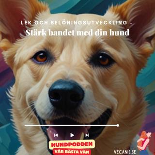 Lek och Belöningsutveckling - Stärk bandet med din hund