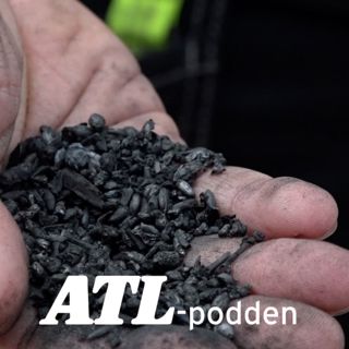 Han testar biokol i djupströbädd