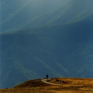 The Journey