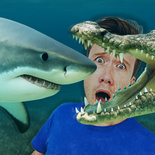 MIDWEEKLY: Who Bites Harder... Crocodiles or Sharks?đŠđ