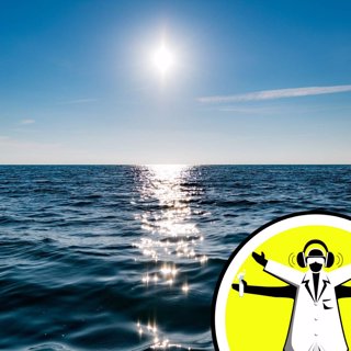 Marine Month: All at Sea