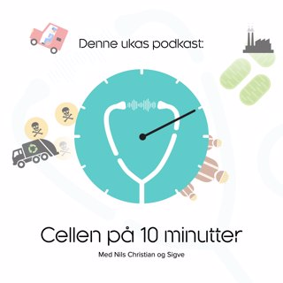 Cella på 10 minutter