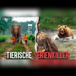 Die brutalsten Angriffe aus dem Tierreich