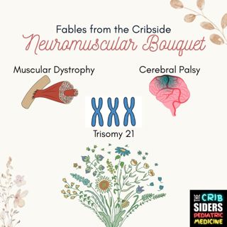 S7 Ep173: Neuromuscular Bouquet (FFTC)