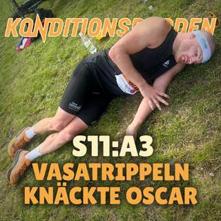 S11A3 Vasatrippeln knäckte Oscar