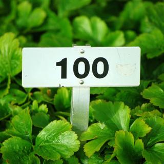 100: Greatest Hits and Your Questions