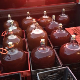 382: Beginner Tips for Squeaky Clean Cider Equipment