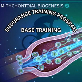 Endurance Training Program Basic Training