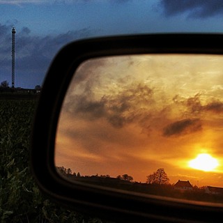 Forum - Ecological Democracy: looking back, looking forward