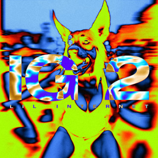NM Presents: ILLEGAL GENERATION Vol. 2 by LIL INTERNET (2025) xx
