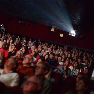 What the movies teach us about recessions, memestocks and gold