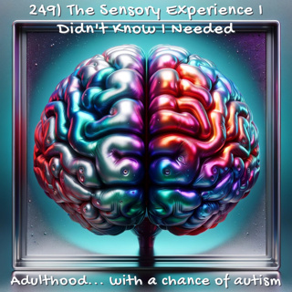 249) The Sensory Experience I Didn't Know I Needed