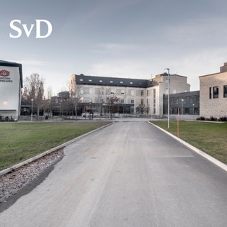 Inlåsta Drago: ”Jag tror att jag aldrig kommer ut”