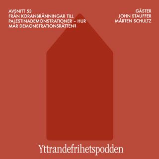 Från koranbränningar till Palestinademonstrationer – hur mår demonstrationsrätten?