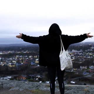 Svenskkolonin i Norge