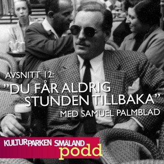 12. Du får aldrig stunden tillbaka. Med Samuel Palmblad