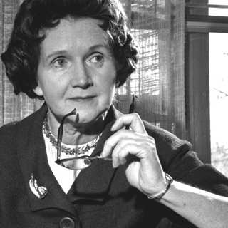 Tyst vår av Rachel Carson – världens viktigaste bok?
