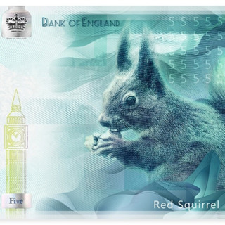 Bank of England opens wildlife vote for future banknotes💷💷