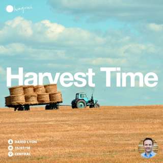 Harvest Time | David Lyon | 15/07/18 | Central