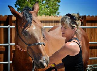 Positive Reinforcement Horse Training – Kate Southcombe – (Episode 7).