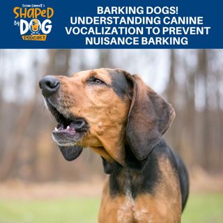 Barking Dogs! Understanding Canine Vocalization To Prevent Nuisance Barking #238