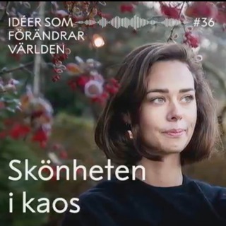 Skönheten i kaos – med Julia Ravanis