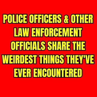 Police officers & other law enforcement officials share the weirdest things they've ever encountered