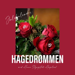 16. desember - Om fargeharmonier i hagen