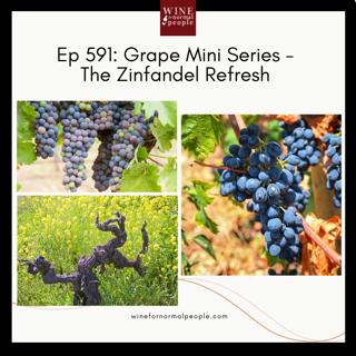 Ep 591: Grape Mini Series - The Zinfandel Refresh