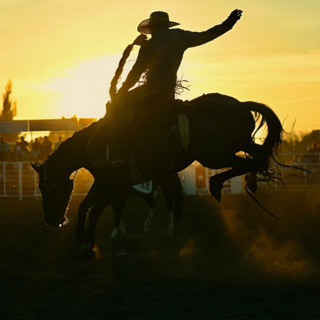 Whoopee Days Rodeo is here