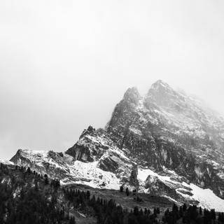#39 — Free Will Revisited