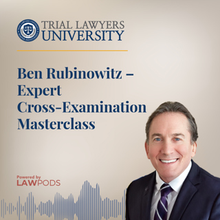 Ben Rubinowitz – Expert Cross-Examination Masterclass