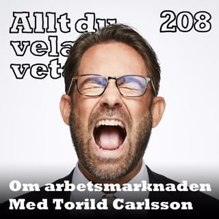 208 Om arbetsmarknaden med Torild Carlsson
