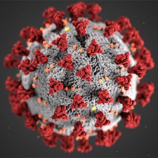 UNLOCKED: How the Pandemic Changed Everything (w/ David Wallace-Wells)