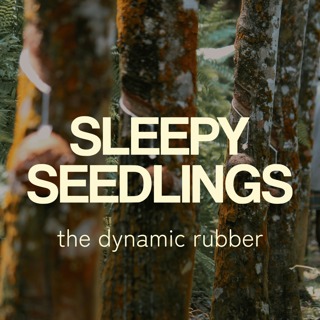 The Dynamic Rubber