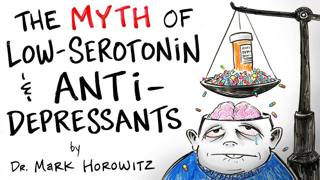 The Myth of Low-Serotonin & Antidepressants - Dr. Mark Horowitz | After Skool