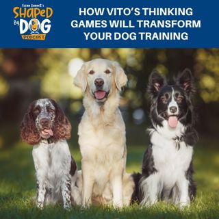 How Vito's Thinking Games Will Transform Your Dog Training #281