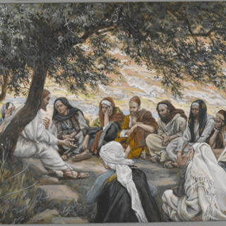 The Apostles’ Witness: Our Questions, Christ’s Answer