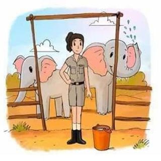 Animal Keeper