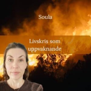 När allt faller isär och varför det ibland behövs - Livskris som uppvaknande