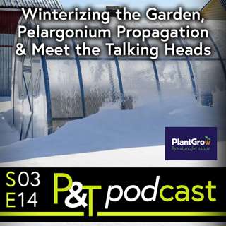Winterize Your Garden, Plus: Climate-Proof Gardening & Growing Tropicals in the UK with Lucy Chamberlain & Saul Walker