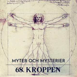68. Kroppen