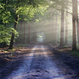 Guided Meditation for Inner Strength | Find Your Power & Resilience