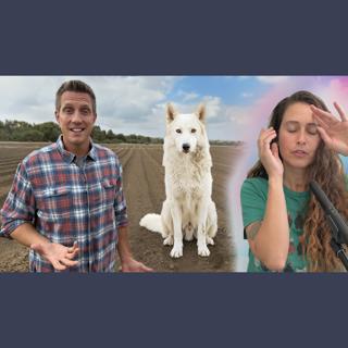 We found a STRAY Dog on our Farm, can a Pet Psychic find her Home?