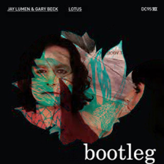 Strange Fruit vs Gotye - Somebody That I Used To Know (Joan Ibañez & Gerard Garcia Bootleg)