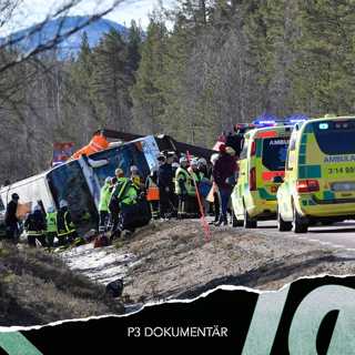 Bussolyckan i Sveg