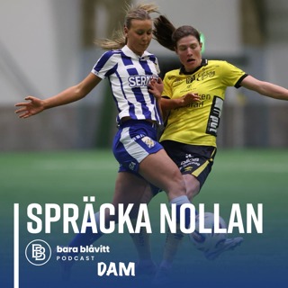 789. DAM Spräcka Nollan