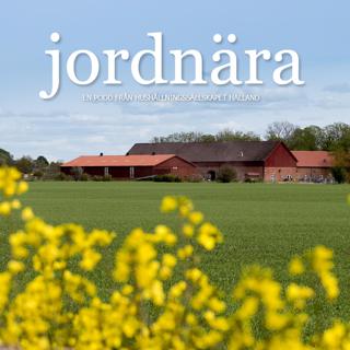 Ogräshantering i mångårig ekologisk odling