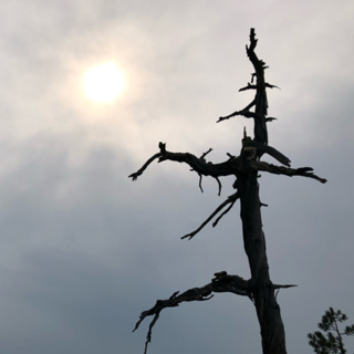 Episode 46: Thunder on the Pacific Crest Trail